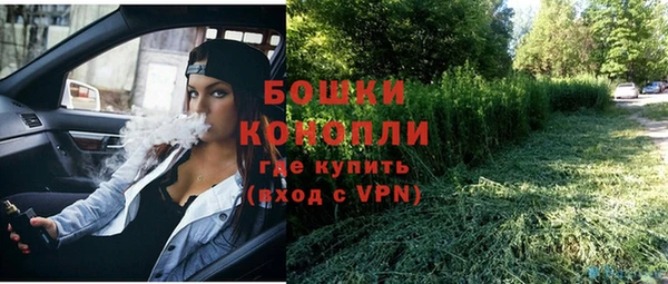 прущие крисы Козловка