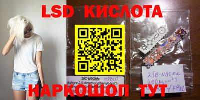 ПСИЛОЦИБИНОВЫЕ ГРИБЫ Новозыбков