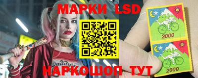 ПСИЛОЦИБИНОВЫЕ ГРИБЫ Новозыбков