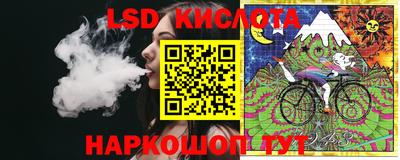 ПСИЛОЦИБИНОВЫЕ ГРИБЫ Новозыбков