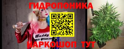 дмт Новодвинск