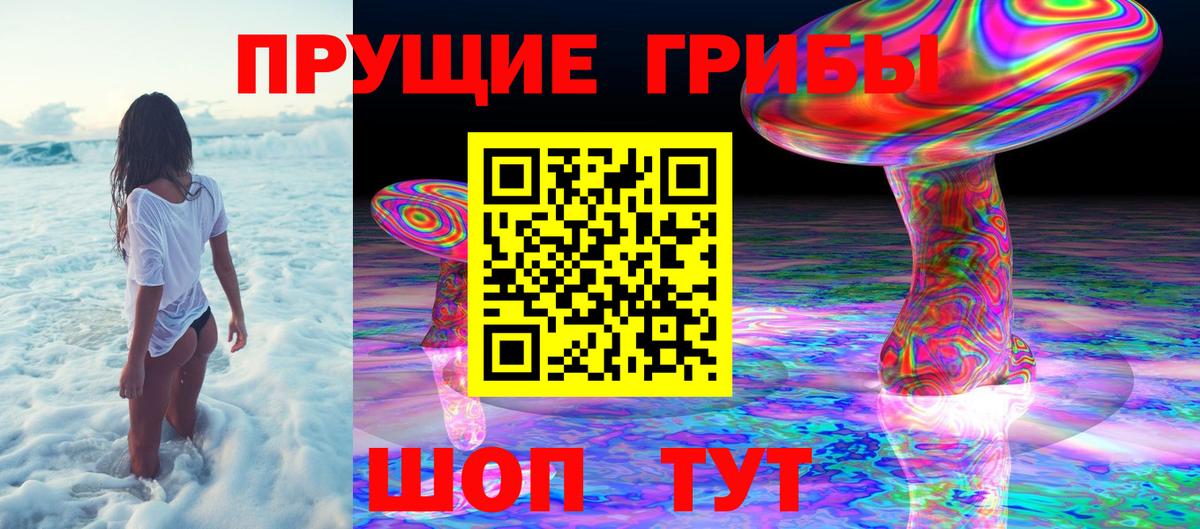 Ногинск  Галлюциногенные грибы мухоморы  Галлюциногенные грибы MAGIC MUSHROOMS  Вход с VPN 