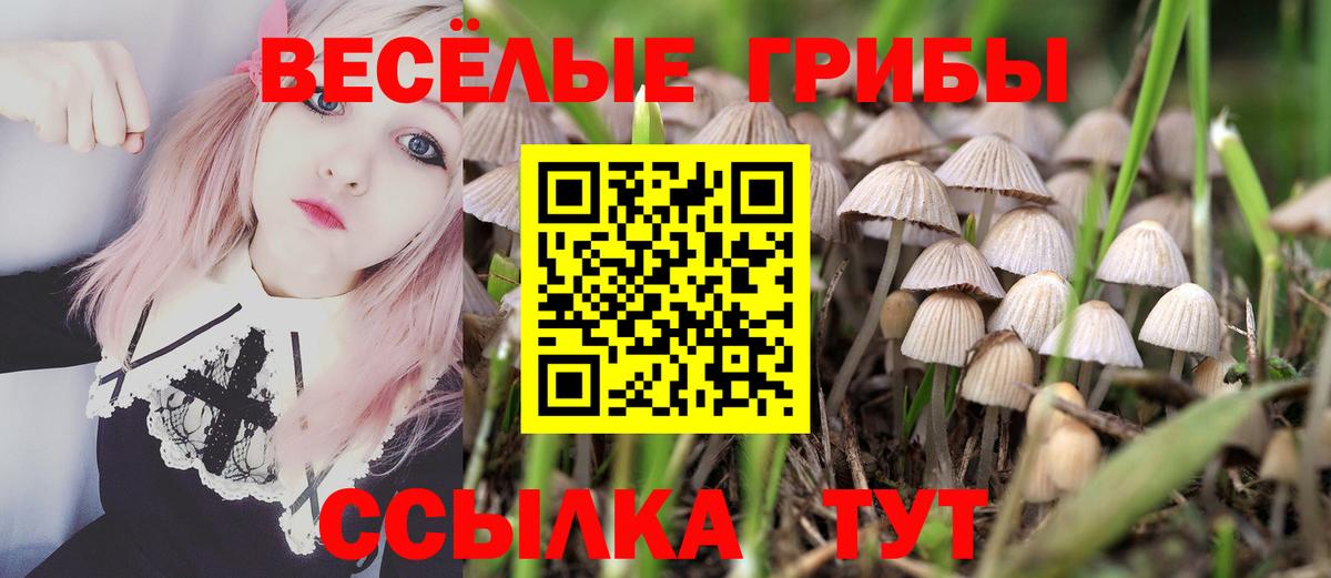 Псилоцибиновые грибы мицелий Ногинск